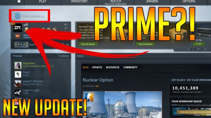 How to get prime for csgo