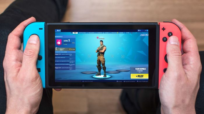 Fortnite on switch lite