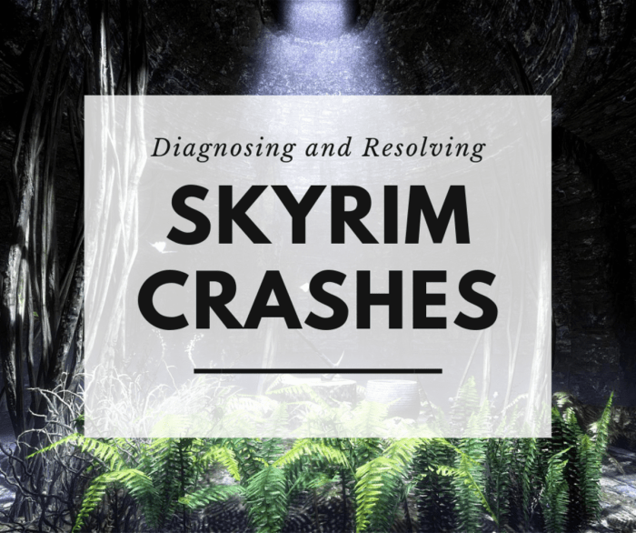 Skyrim crashes on launch