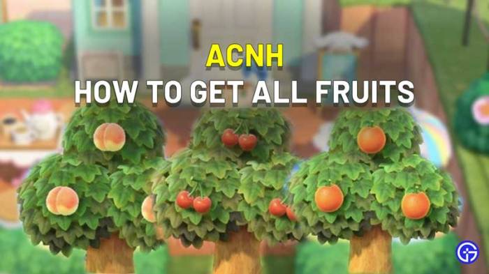 Acnh sister fruit chart