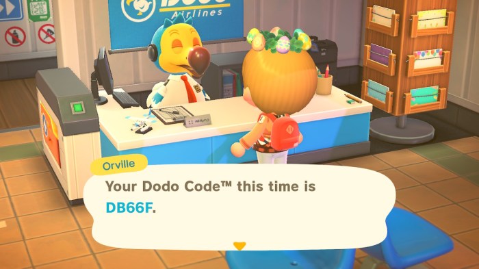 How to find dodo code