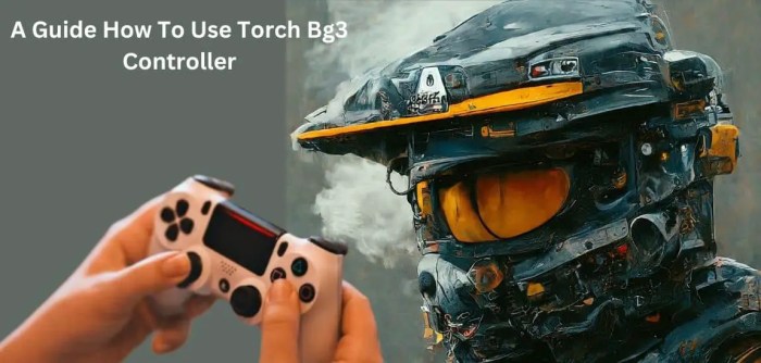 How to use a torch bg3