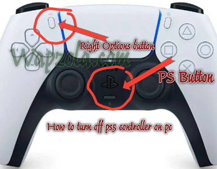 Ps5 controller turns off