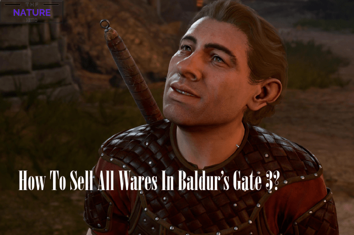 Baldurs gate 3 sell wares