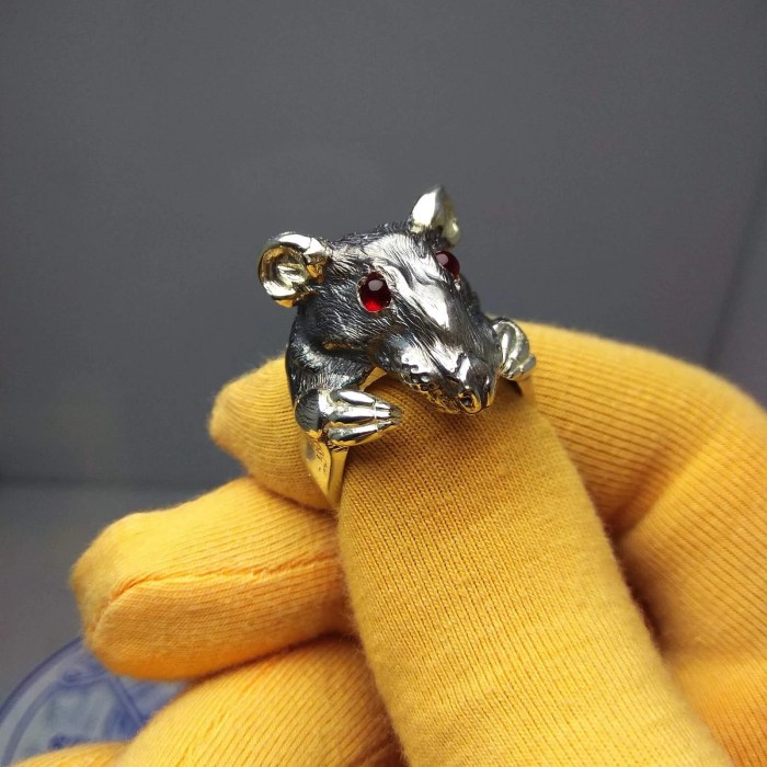 Ring of resourceful rat