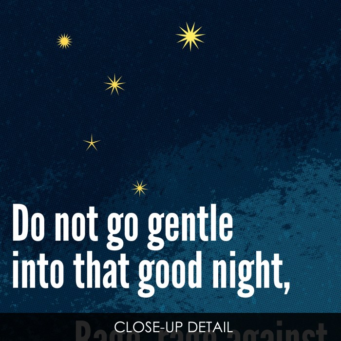 Gentle go do into night good did seeker spiritual men poems spirituality enlightened