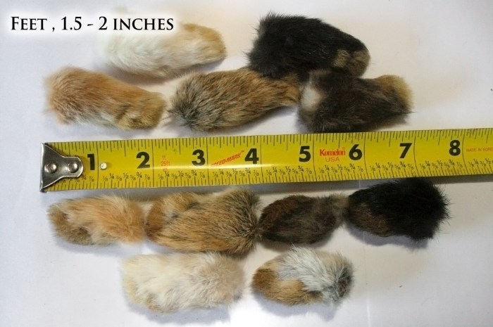 Rabbit foot for cats