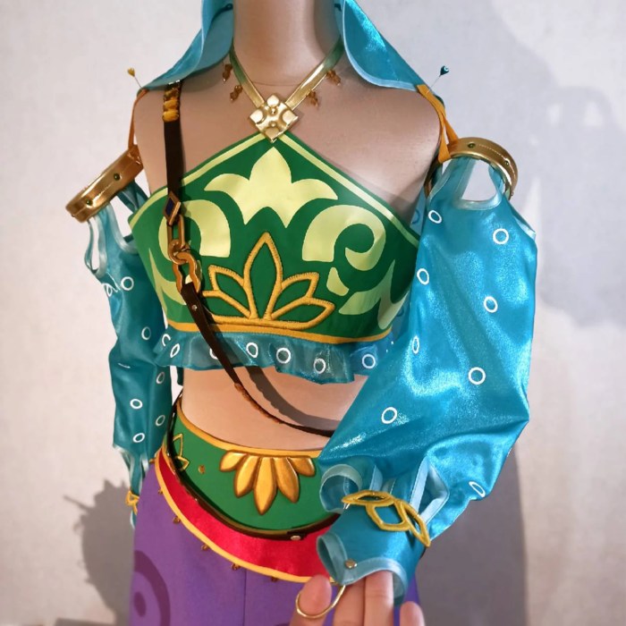 Loz botw gerudo outfit