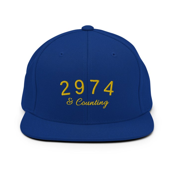 2974 and counting hat
