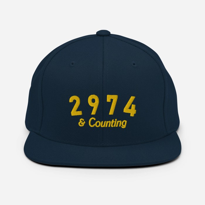 2974 and counting hat