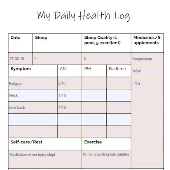 Health log daily services pdf