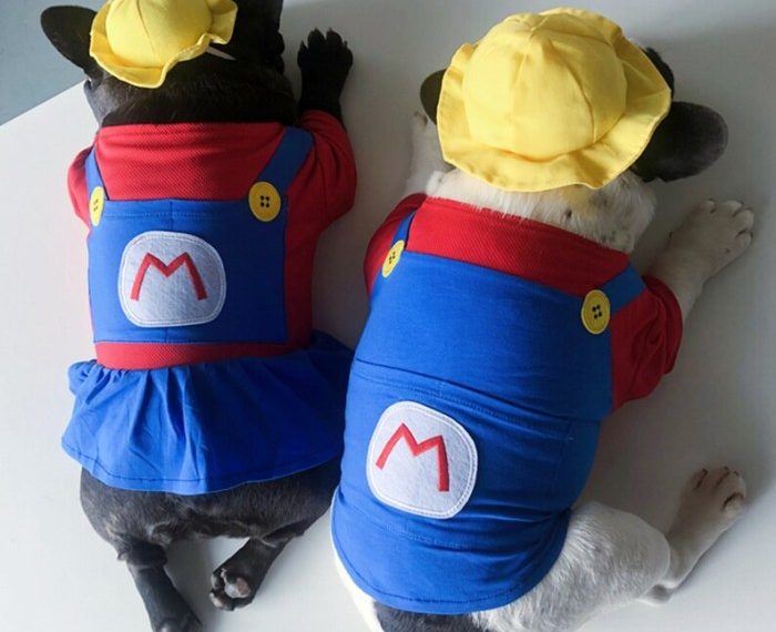 Cat figure mario super nintendo figures bell jooinn