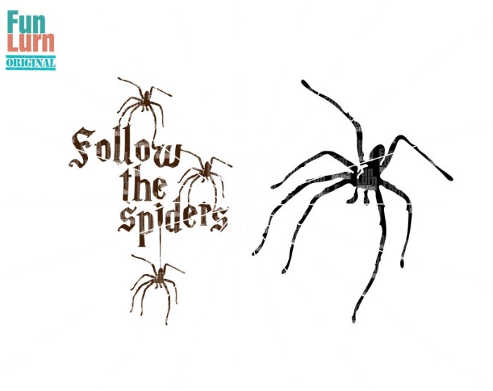 Follow the spiders sign
