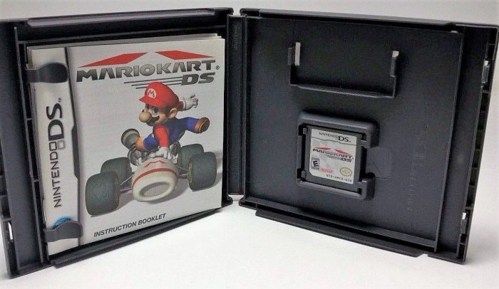 Nintendo ds game case