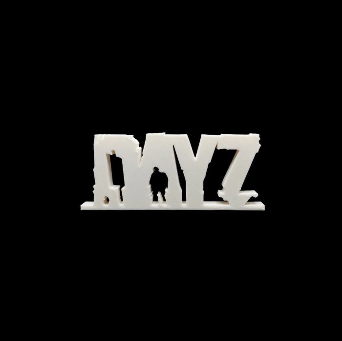 Where is dayz based