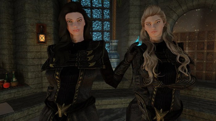 High Elf Followers Skyrim - EDUSTARS