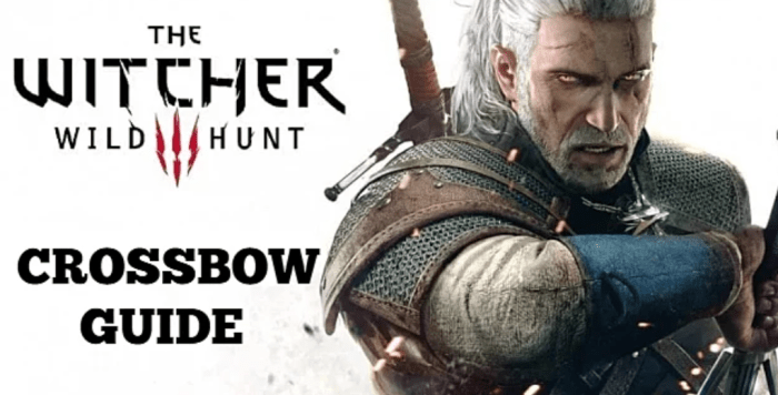 Witcher 3 bow or not