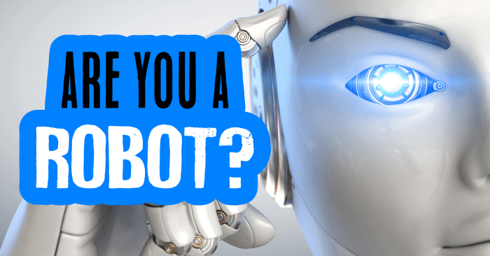 Are you a robot quiz