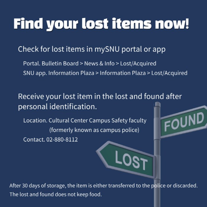 How to find lost item