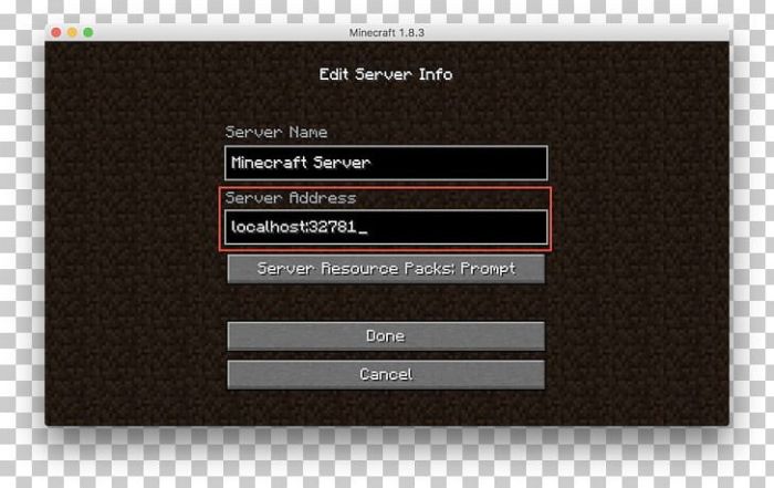 Minecraft what is my ip