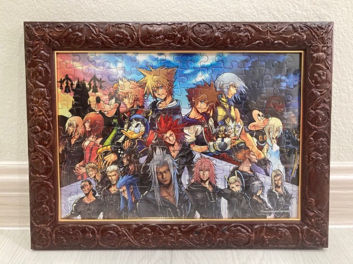 Kingdom hearts 2 puzzle