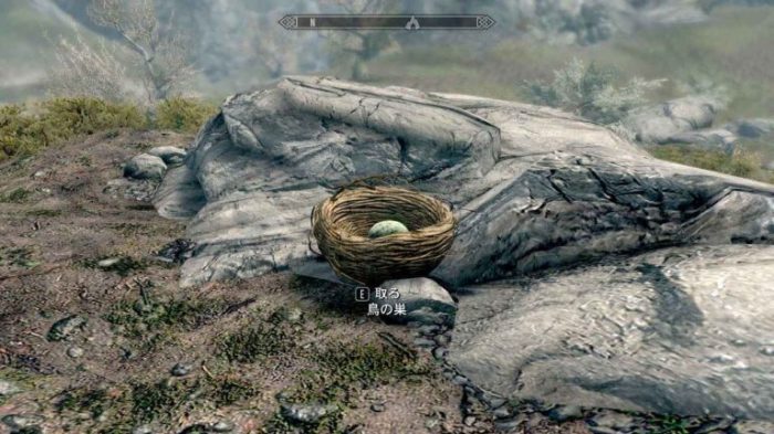 Skyrim rock warbler egg