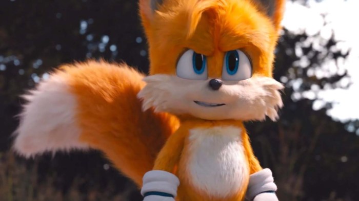 Does sonic have a tail