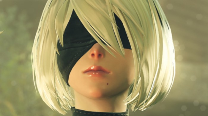 Nier automata crack