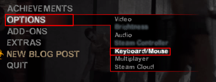 How to open console l4d2