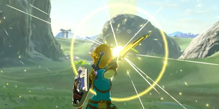 Botw by firefly's light