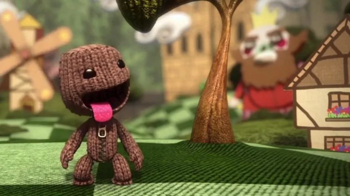 Little big planet switch