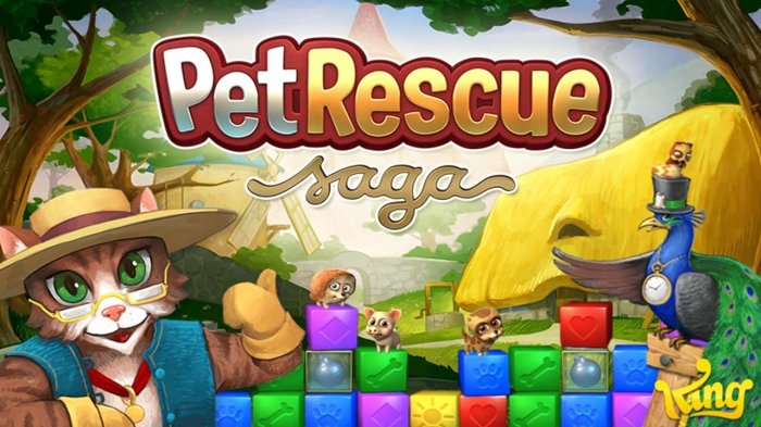 Pet saga on facebook