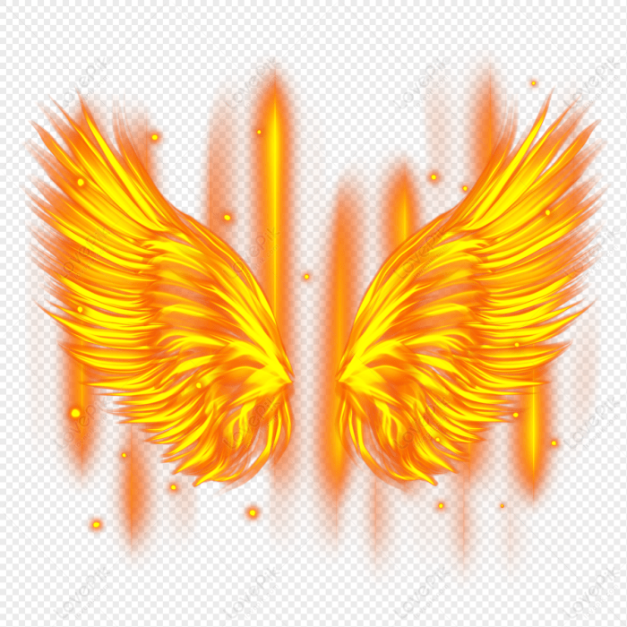 Flame wings of fire
