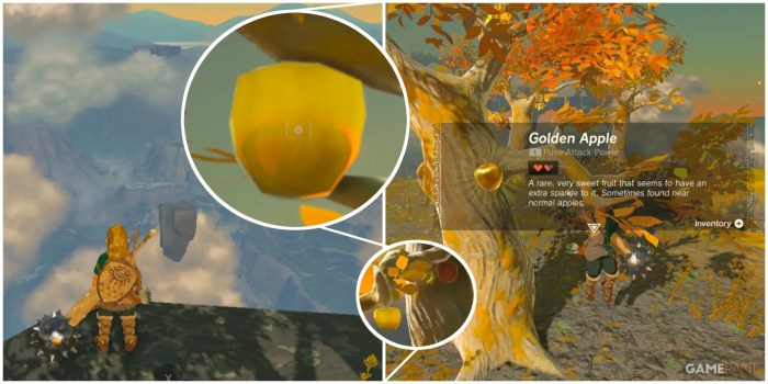 Zelda totk golden apple