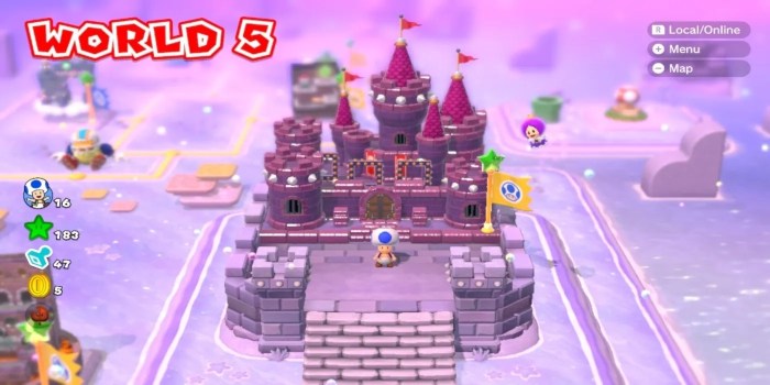 Mario 3d world 5 castle