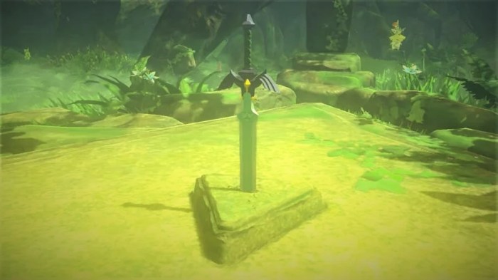 Botw master sword hearts