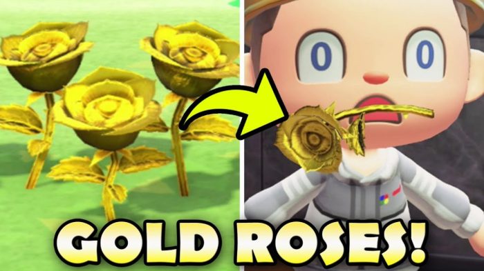 Gold rose animal crossing