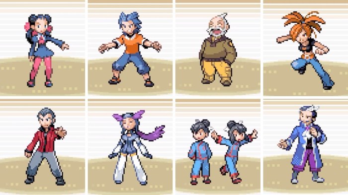 Gym leaders in emerald