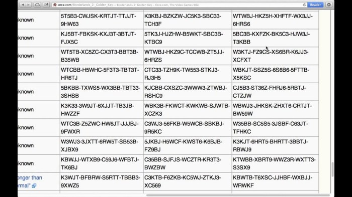 Bordelands 2 shift codes