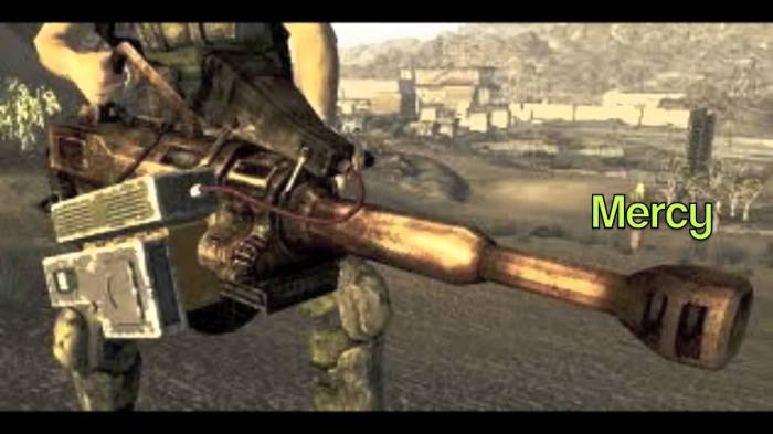 Fallout vegas gun