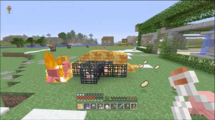 Minecraft xbox 360 mod