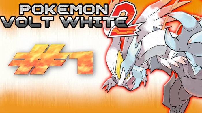 Pokémon volt white 2