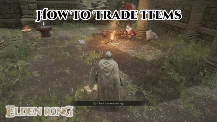 Elden ring trade items