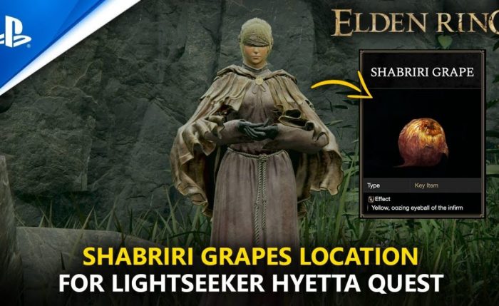 Elden ring shabriri quest