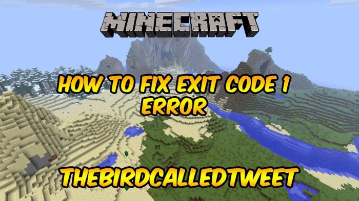 Minecraft exit code 9