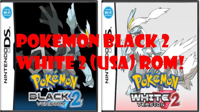 Pokemon - white 2 rom