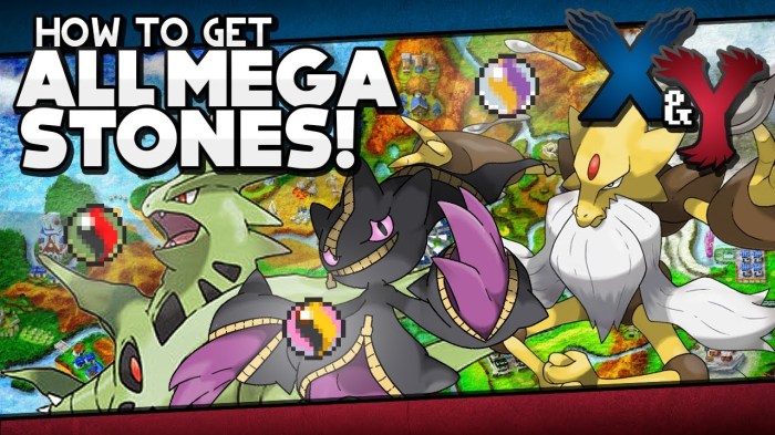 Pokemon x mega stones