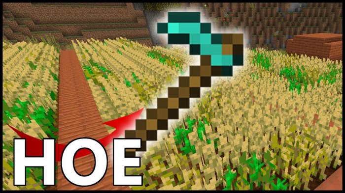 Best enchantments for hoe