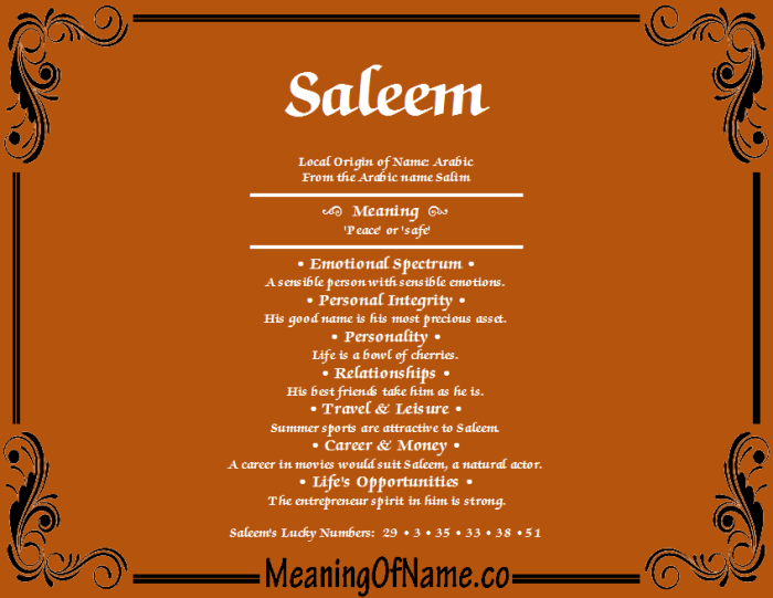 Saleem meaning in arabic