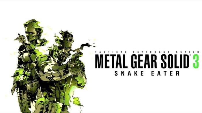 Mgs3 how to interrogate